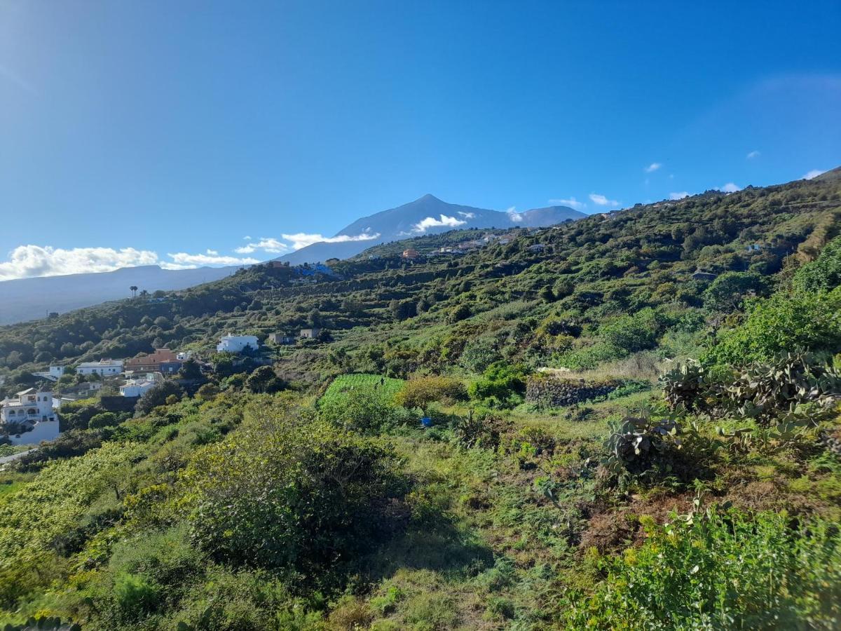 Vila La Casa Del Bisa Genovés Exteriér fotografie